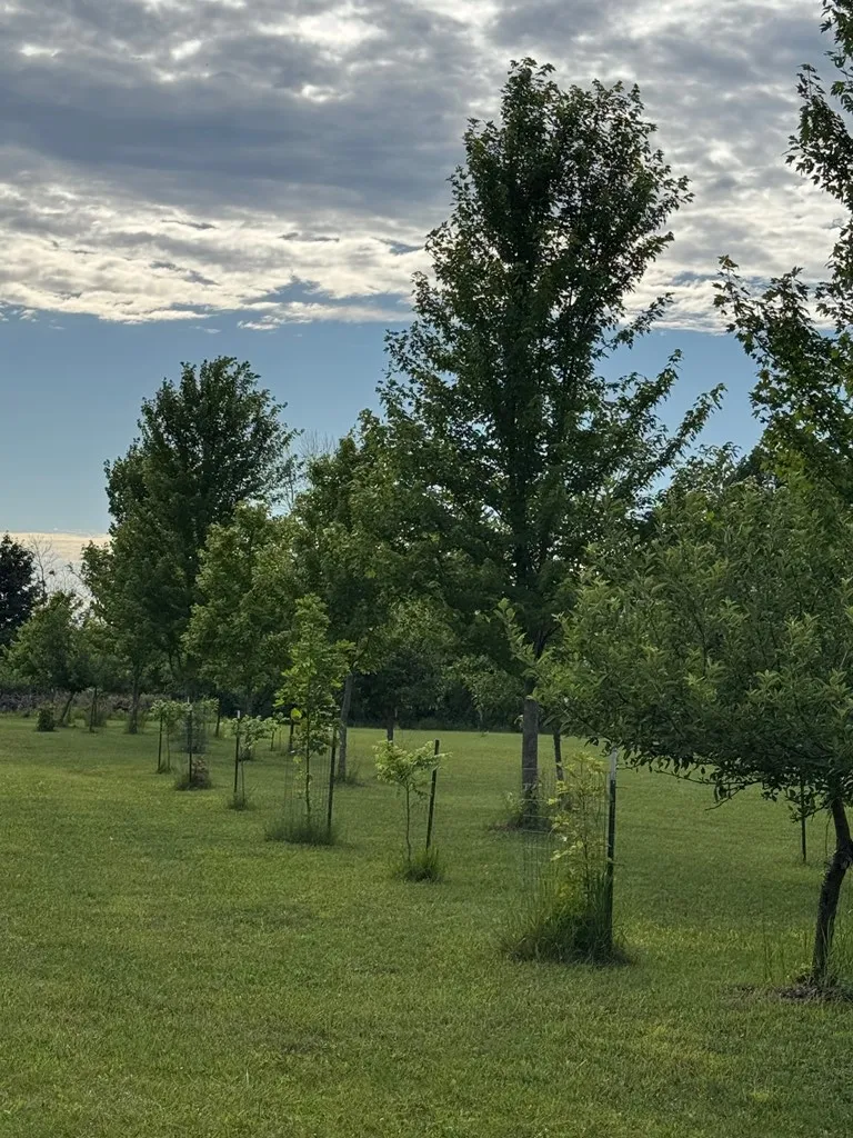 County Hwy Dk, Sturgeon Bay, Wisconsin 54235, ,Unimproved Land,For Sale,County Hwy DK,144211