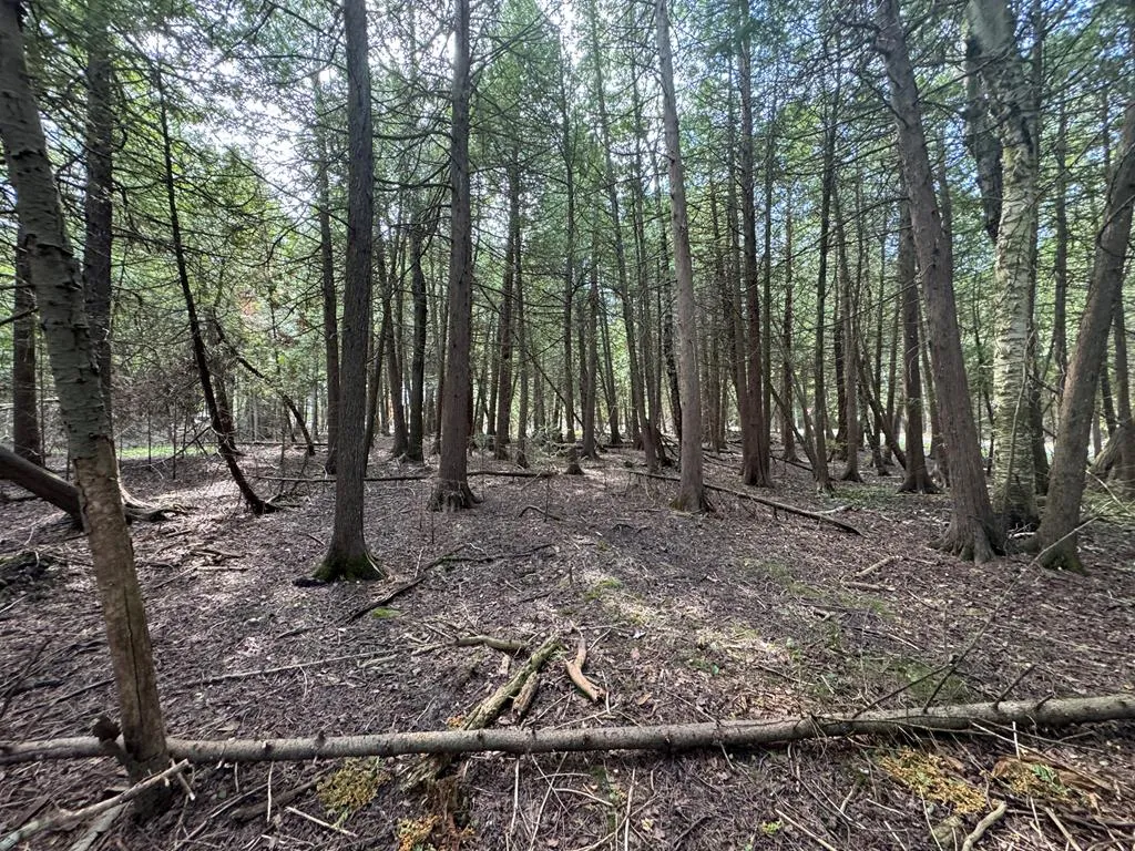 Lot 2 Evergreen Rd, Egg Harbor Wi 54209, ,Unimproved Land,For Sale,Evergreen Rd,143273