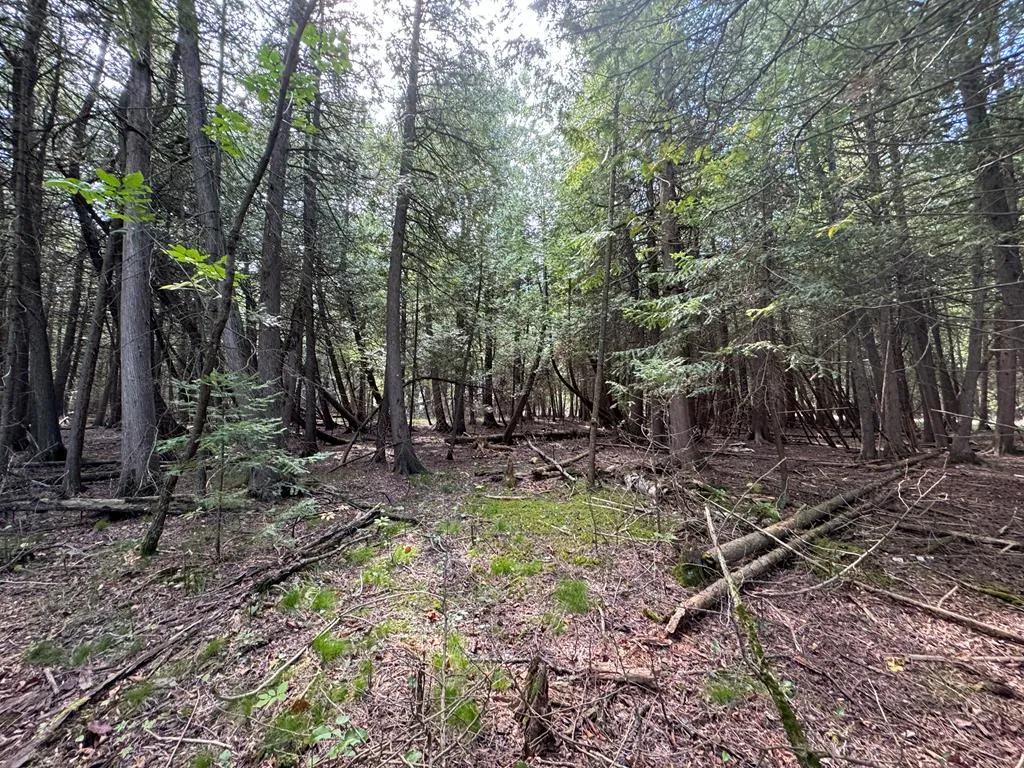 Lot 2 Evergreen Rd, Egg Harbor Wi 54209, ,Unimproved Land,For Sale,Evergreen Rd,143273