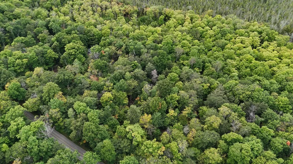 Tbd N Cave Point Dr, Jacksonport, Wisconsin 54235, ,Unimproved Land,For Sale,N Cave Point Dr,144522