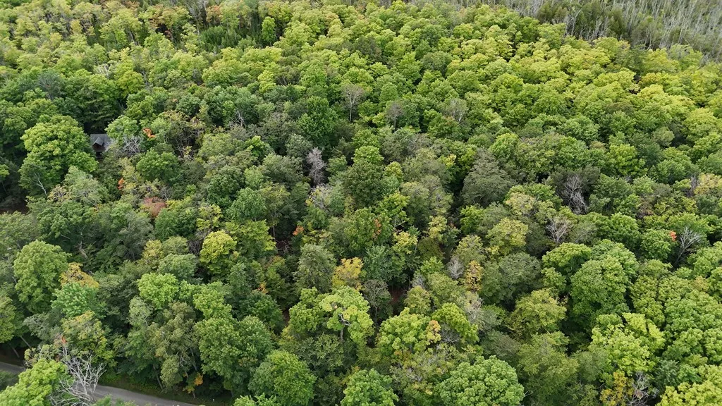 Tbd N Cave Point Dr, Jacksonport, Wisconsin 54235, ,Unimproved Land,For Sale,N Cave Point Dr,144522