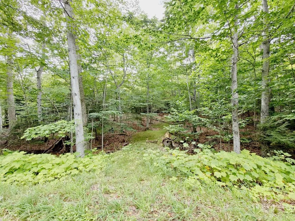 Tbd N Cave Point Dr, Jacksonport, Wisconsin 54235, ,Unimproved Land,For Sale,N Cave Point Dr,144522