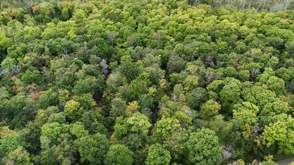 Tbd N Cave Point Dr, Jacksonport, Wisconsin 54235, ,Unimproved Land,For Sale,N Cave Point Dr,144522