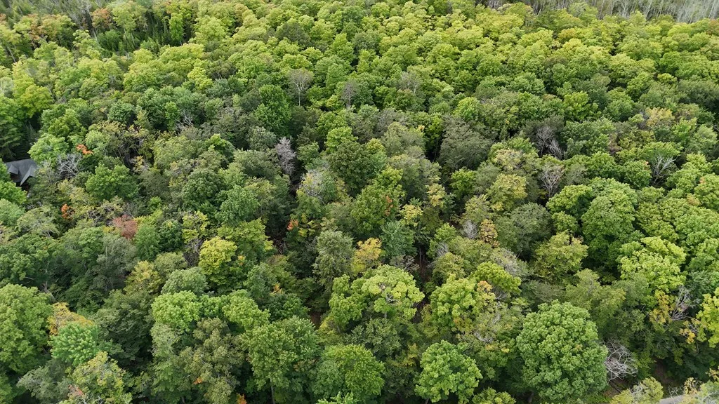 Tbd N Cave Point Dr, Jacksonport, Wisconsin 54235, ,Unimproved Land,For Sale,N Cave Point Dr,144522