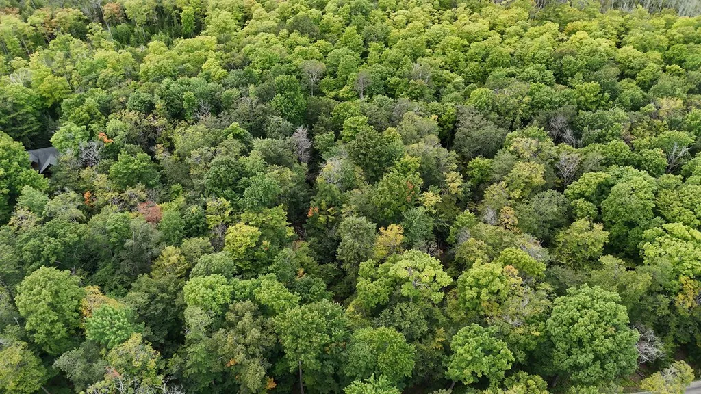 Tbd N Cave Point Dr, Jacksonport, Wisconsin 54235, ,Unimproved Land,For Sale,N Cave Point Dr,144522