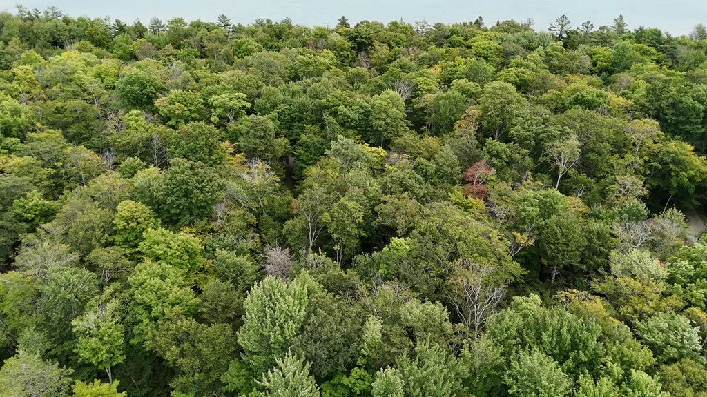 Tbd N Cave Point Dr, Jacksonport, Wisconsin 54235, ,Unimproved Land,For Sale,N Cave Point Dr,144522