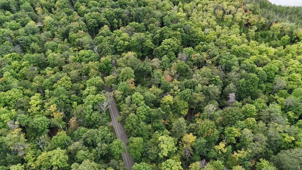 Tbd N Cave Point Dr, Jacksonport, Wisconsin 54235, ,Unimproved Land,For Sale,N Cave Point Dr,144522