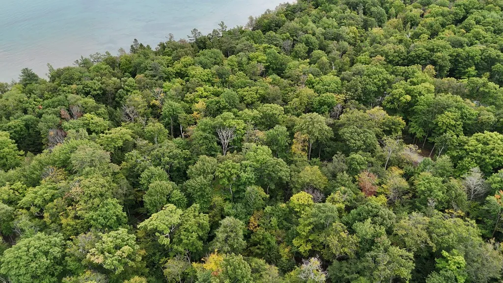 Tbd N Cave Point Dr, Jacksonport, Wisconsin 54235, ,Unimproved Land,For Sale,N Cave Point Dr,144522