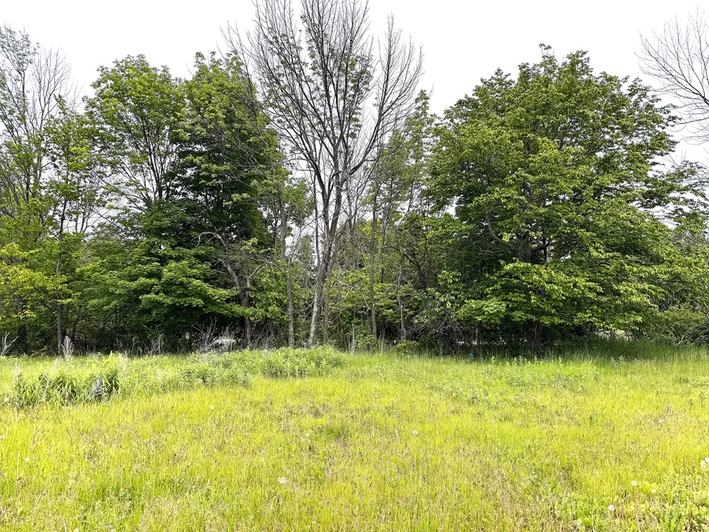 Site #2 Hillside Tr, Egg Harbor, Wisconsin 54209, ,Unimproved Land,For Sale,Hillside Tr,144112