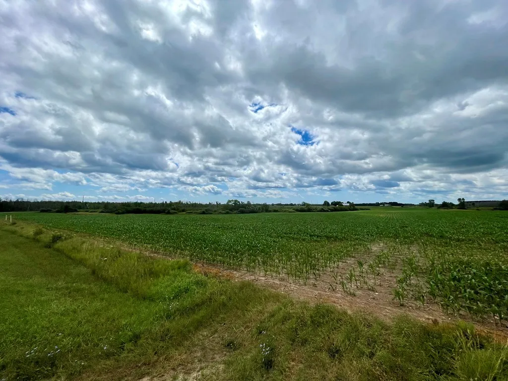 County Rd H, Sturgeon Bay Wi 54235, ,Unimproved Land,For Sale,County Rd H,142955
