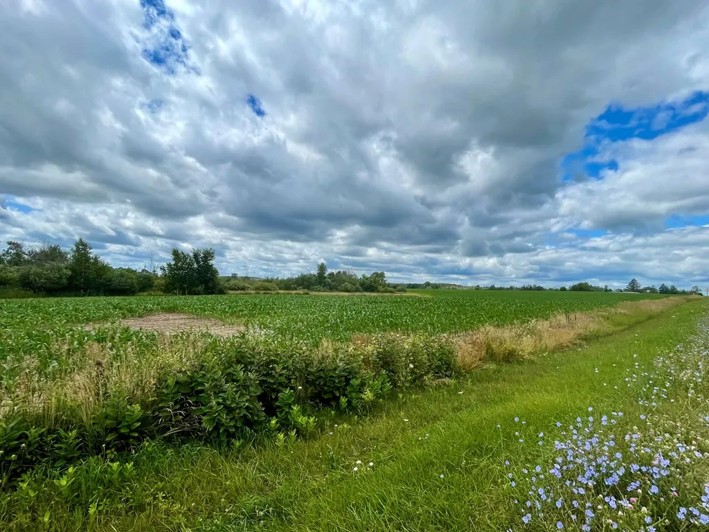County Rd H, Sturgeon Bay Wi 54235, ,Unimproved Land,For Sale,County Rd H,142955