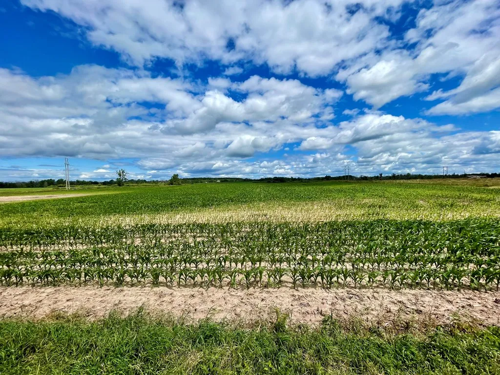County Rd H, Sturgeon Bay Wi 54235, ,Unimproved Land,For Sale,County Rd H,142955