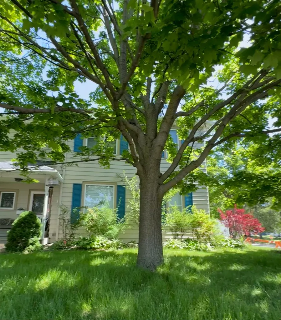 130 S 5th Ave, Sturgeon Bay Wi 54235, 5 Bedrooms Bedrooms, ,3 BathroomsBathrooms,Inland-Residential,For Sale,S 5th Ave,143872