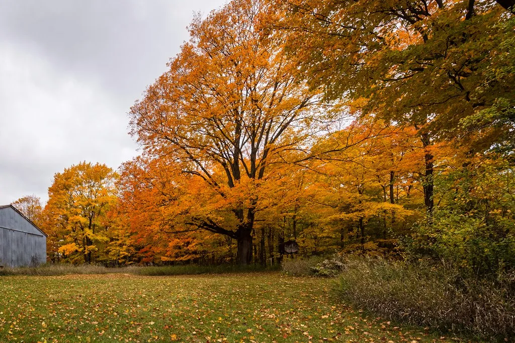 Woodcrest Rd, Sister Bay, Wisconsin 54234, ,Unimproved Land,For Sale,Woodcrest Rd,144013