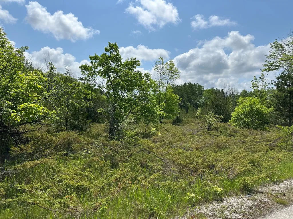 Lot #1 Heartland Tr, Sister Bay, Wisconsin 54234, ,Unimproved Land,For Sale,Heartland Tr,144085