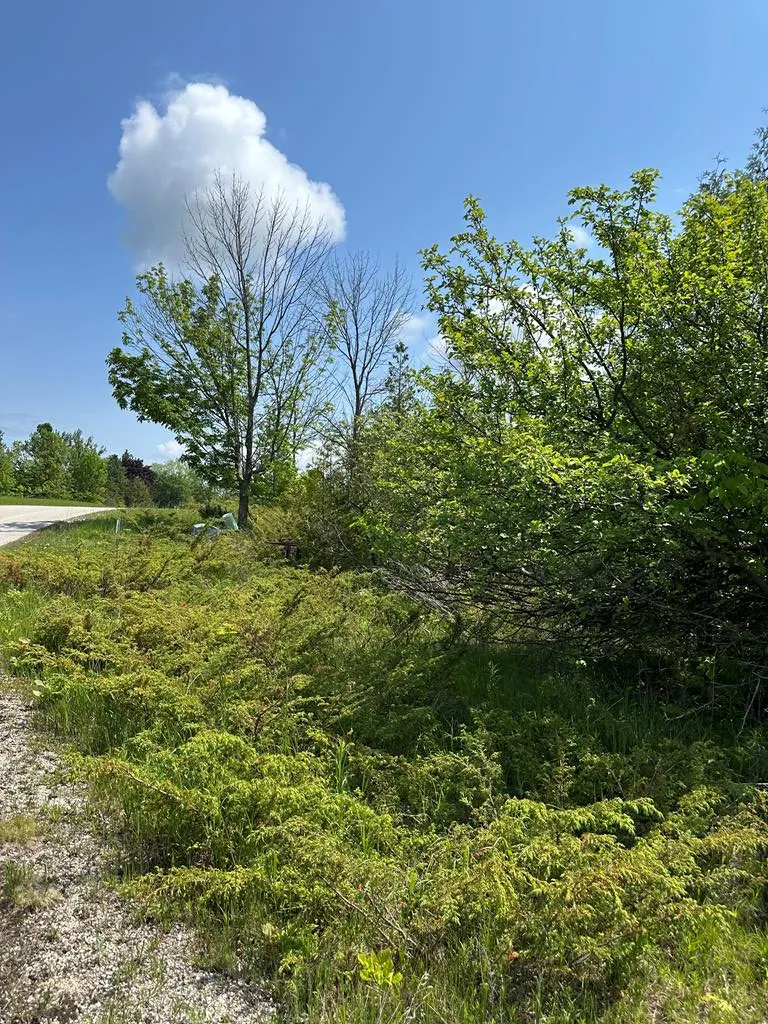 Lot #1 Heartland Tr, Sister Bay, Wisconsin 54234, ,Unimproved Land,For Sale,Heartland Tr,144085