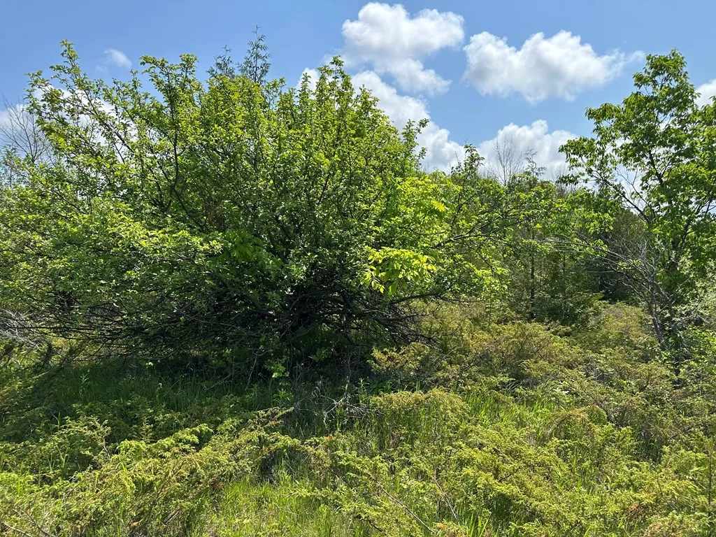 Lot #1 Heartland Tr, Sister Bay, Wisconsin 54234, ,Unimproved Land,For Sale,Heartland Tr,144085