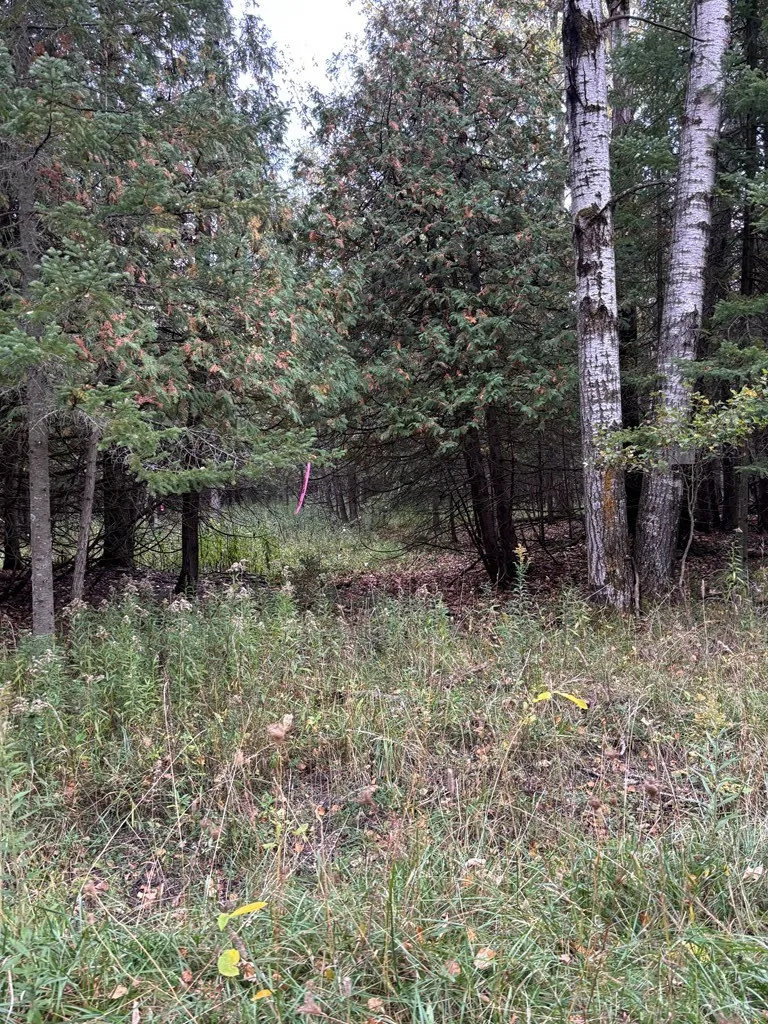 Lot 3 Sleepy Hollow Dr, Sturgeon Bay Wi 54235, ,Unimproved Land,For Sale,Ichabod Ln,141080