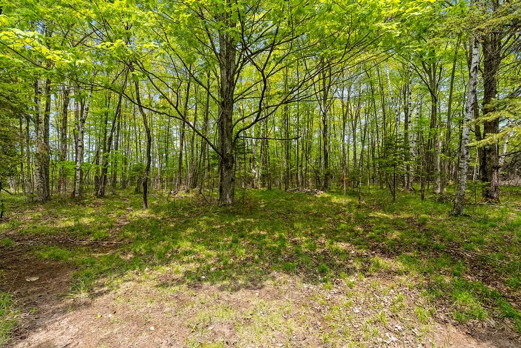 Lake Of The Woods Rd, Sturgeon Bay, Wisconsin 54235, ,Unimproved Land,For Sale,Lake of The Woods Rd,144114