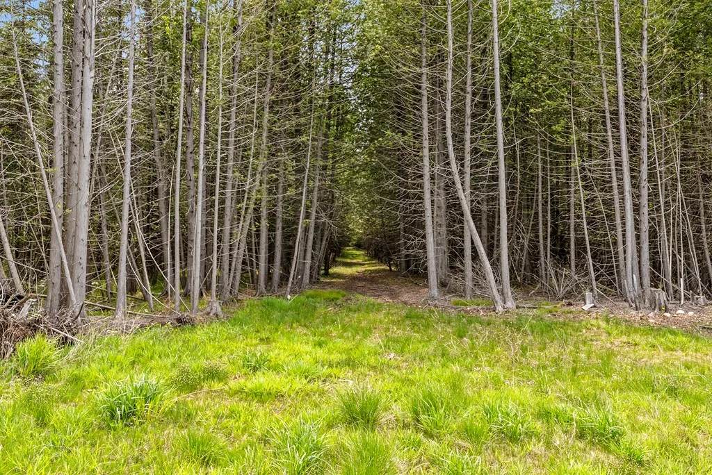Lake Of The Woods Rd, Sturgeon Bay, Wisconsin 54235, ,Unimproved Land,For Sale,Lake of The Woods Rd,144114