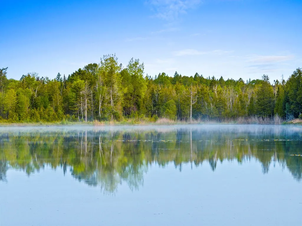 Lake Of The Woods Rd, Sturgeon Bay, Wisconsin 54235, ,Unimproved Land,For Sale,Lake of The Woods Rd,144114