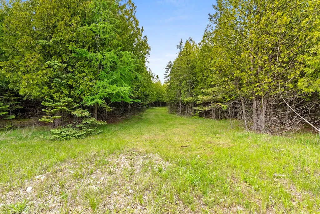 Lake Of The Woods Rd, Sturgeon Bay, Wisconsin 54235, ,Unimproved Land,For Sale,Lake of The Woods Rd,144114