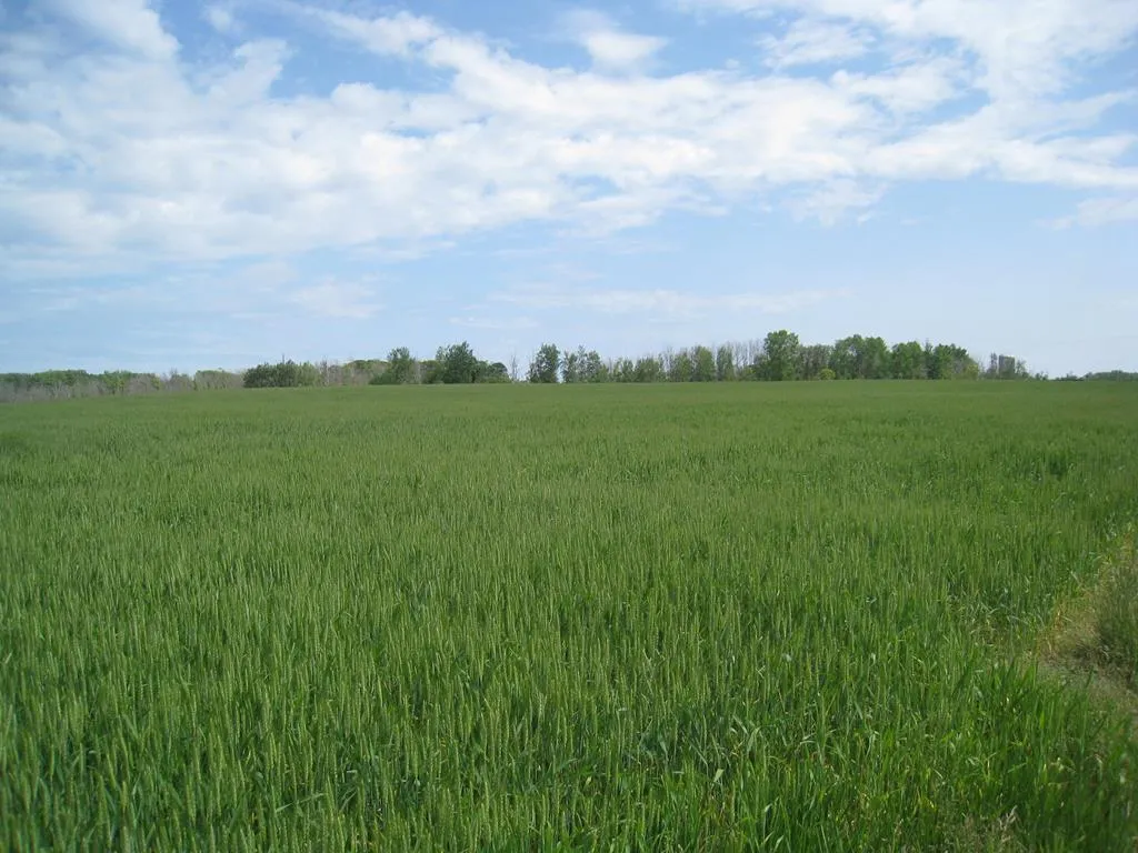 6703 Hwy 42/57, Sturgeon Bay Wi 54235, ,Unimproved Land,For Sale,Hwy 42/57,139519
