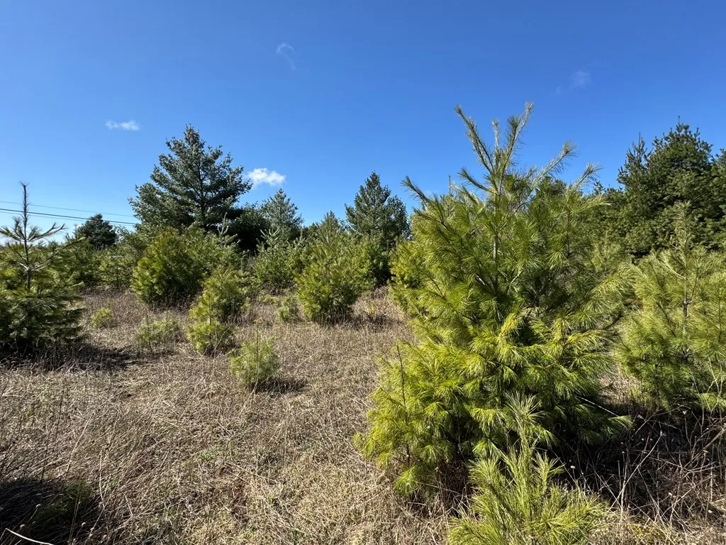 Lot 2 County Rd Ee, Town Of Gibraltar Wi 54202, ,Unimproved Land,For Sale,County Rd EE,143858