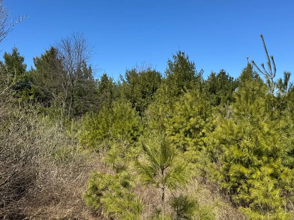 Lot 2 County Rd Ee, Town Of Gibraltar Wi 54202, ,Unimproved Land,For Sale,County Rd EE,143858
