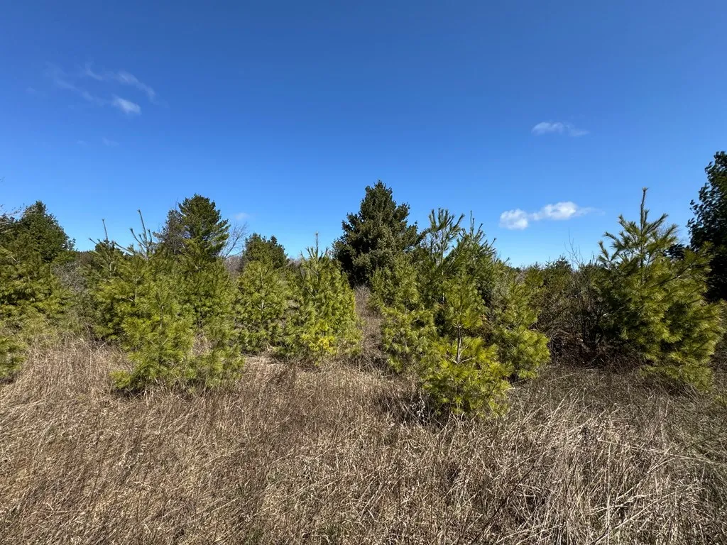 Lot 2 County Rd Ee, Town Of Gibraltar Wi 54202, ,Unimproved Land,For Sale,County Rd EE,143858