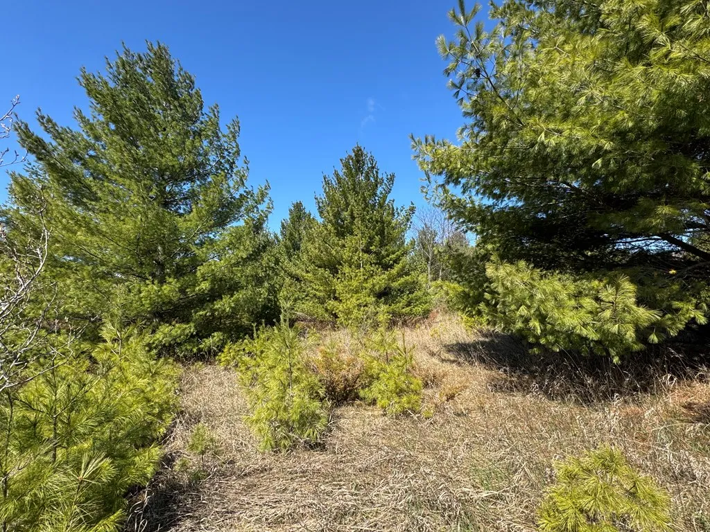 Lot 2 County Rd Ee, Town Of Gibraltar Wi 54202, ,Unimproved Land,For Sale,County Rd EE,143858