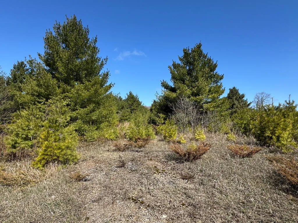 Lot 2 County Rd Ee, Town Of Gibraltar Wi 54202, ,Unimproved Land,For Sale,County Rd EE,143858