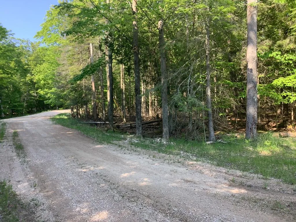 Tbd Bjarnarson Dr, Washington Island Wi 54246, ,Unimproved Land,For Sale,Bjarnarson Dr,143881