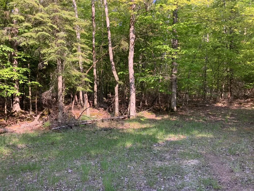 Tbd Bjarnarson Dr, Washington Island Wi 54246, ,Unimproved Land,For Sale,Bjarnarson Dr,143881