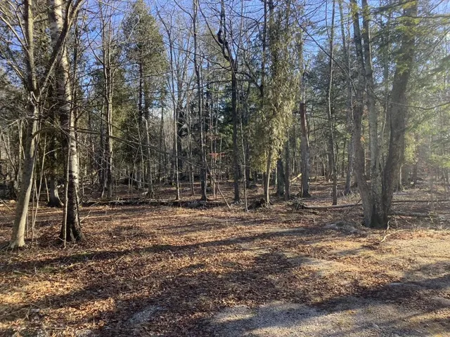 Tbd Gunnlaugsson Dr, Washington Island Wi 54246, ,Unimproved Land,For Sale,Gunnlaugsson Dr,143514