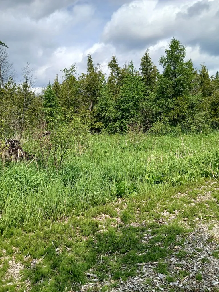 Tbd Silverdale Rd, Sturgeon Bay, Wisconsin 54235, ,Unimproved Land,For Sale,Silverdale Rd,144073