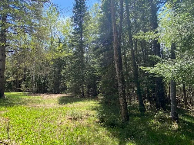 2961 Wilder Rd, Ephraim, Wisconsin 54211, 2 Bedrooms Bedrooms, ,2 BathroomsBathrooms,Inland-Residential,For Sale,Wilder Rd,143553