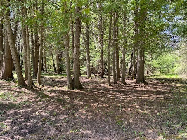 2961 Wilder Rd, Ephraim, Wisconsin 54211, 2 Bedrooms Bedrooms, ,2 BathroomsBathrooms,Inland-Residential,For Sale,Wilder Rd,143553