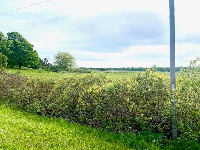 Lot 1 Lakeview Rd, Ellison Bay Wi 54210, ,Unimproved Land,For Sale,Lakeview Rd,141709