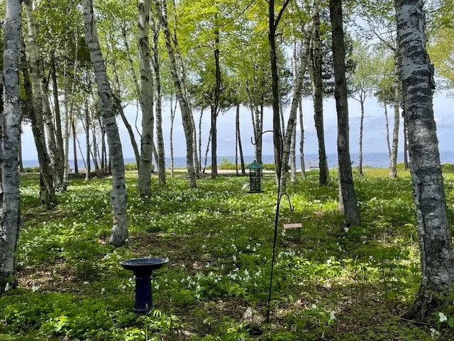 8153 Bay Dr # 3, Egg Harbor, Wisconsin 54209, 2 Bedrooms Bedrooms, ,2 BathroomsBathrooms,Condominium,For Sale,Bay Dr,144316
