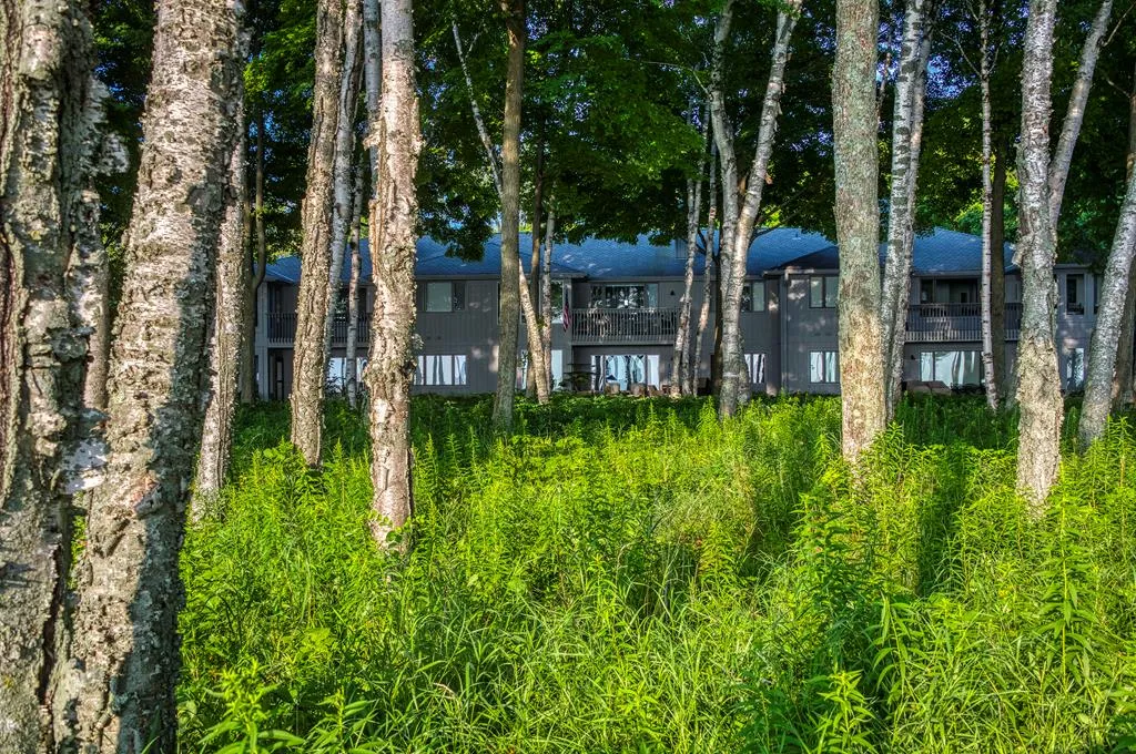 8153 Bay Dr # 3, Egg Harbor, Wisconsin 54209, 2 Bedrooms Bedrooms, ,2 BathroomsBathrooms,Condominium,For Sale,Bay Dr,144316