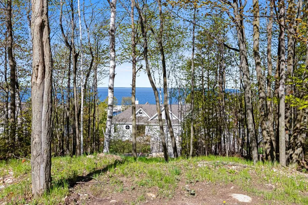 Lot 3 Birchwood Dr, Sister Bay Wi 54234, ,Unimproved Land,For Sale,Birchwood Dr,141645