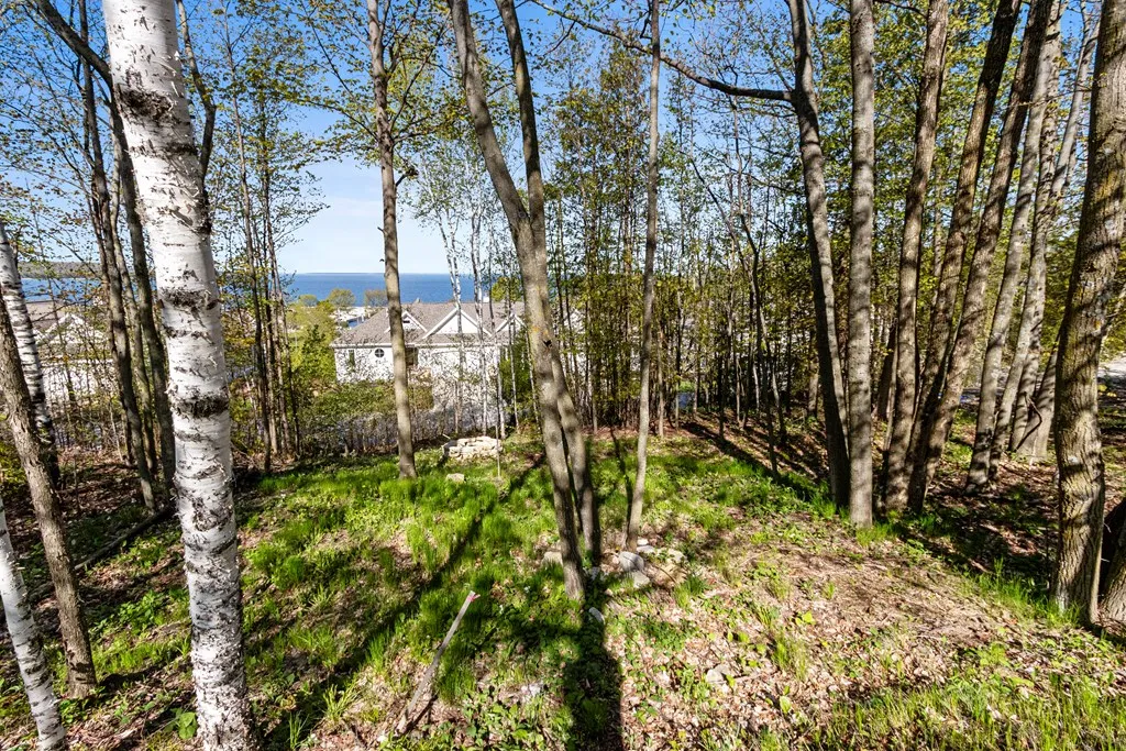 Lot 3 Birchwood Dr, Sister Bay Wi 54234, ,Unimproved Land,For Sale,Birchwood Dr,141645