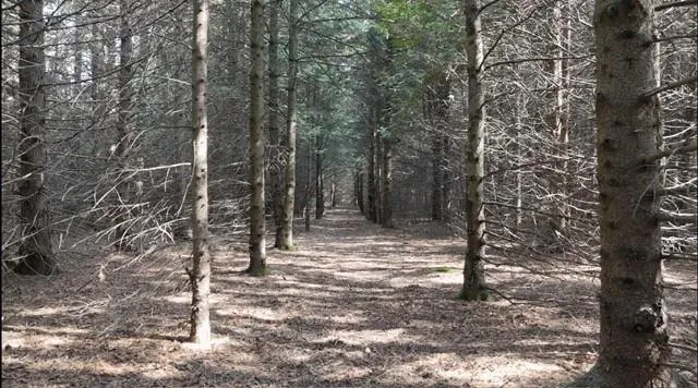 Lot 6 Wildwood Ct, Sister Bay, Wisconsin 54234, ,Unimproved Land,For Sale,Wildwood Ct,144505
