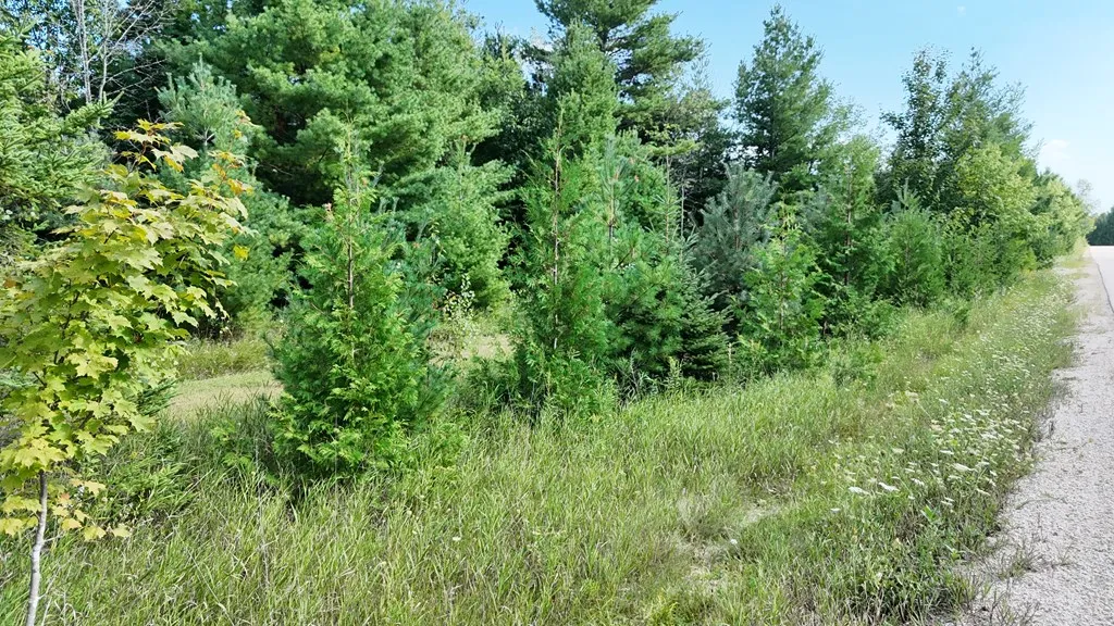 Lot 6 Wildwood Ct, Sister Bay, Wisconsin 54234, ,Unimproved Land,For Sale,Wildwood Ct,144505