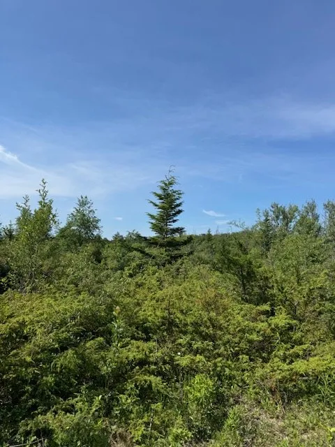 Tbd Townline Rd, Ephraim, Wisconsin 54211, ,Unimproved Land,For Sale,Townline Rd,144232