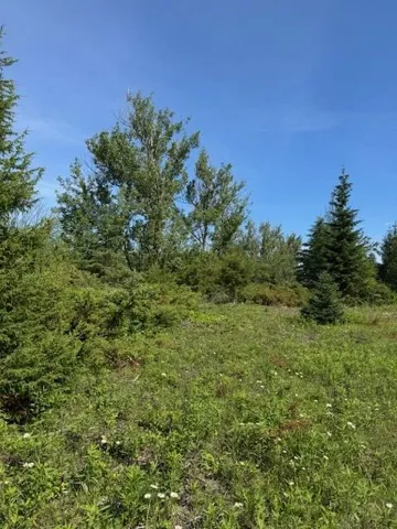 Tbd Townline Rd, Ephraim, Wisconsin 54211, ,Unimproved Land,For Sale,Townline Rd,144232
