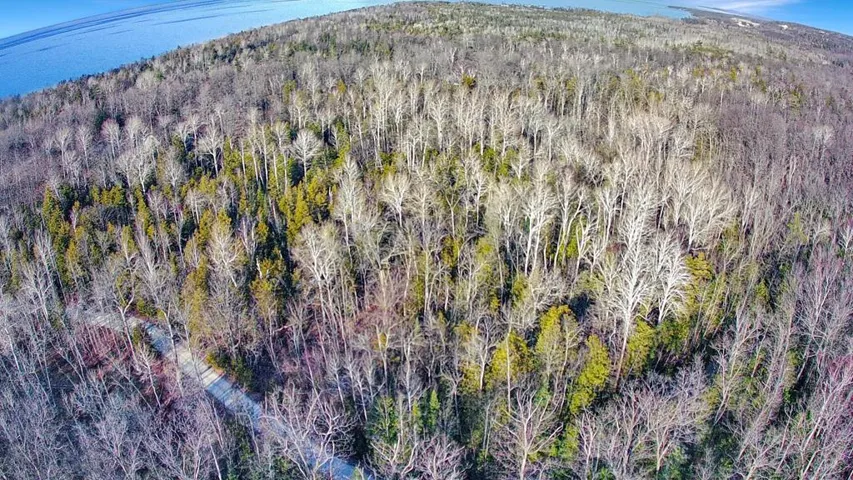Birch Ln, Egg Harbor Wi 54209, ,Unimproved Land,For Sale,Birch Ln,141317