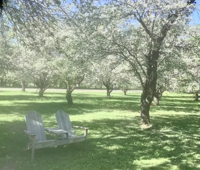 1468 Birchwood Rd, Ellison Bay Wi 54210, 3 Bedrooms Bedrooms, ,2 BathroomsBathrooms,Inland-Residential,For Sale,Birchwood Rd,143711