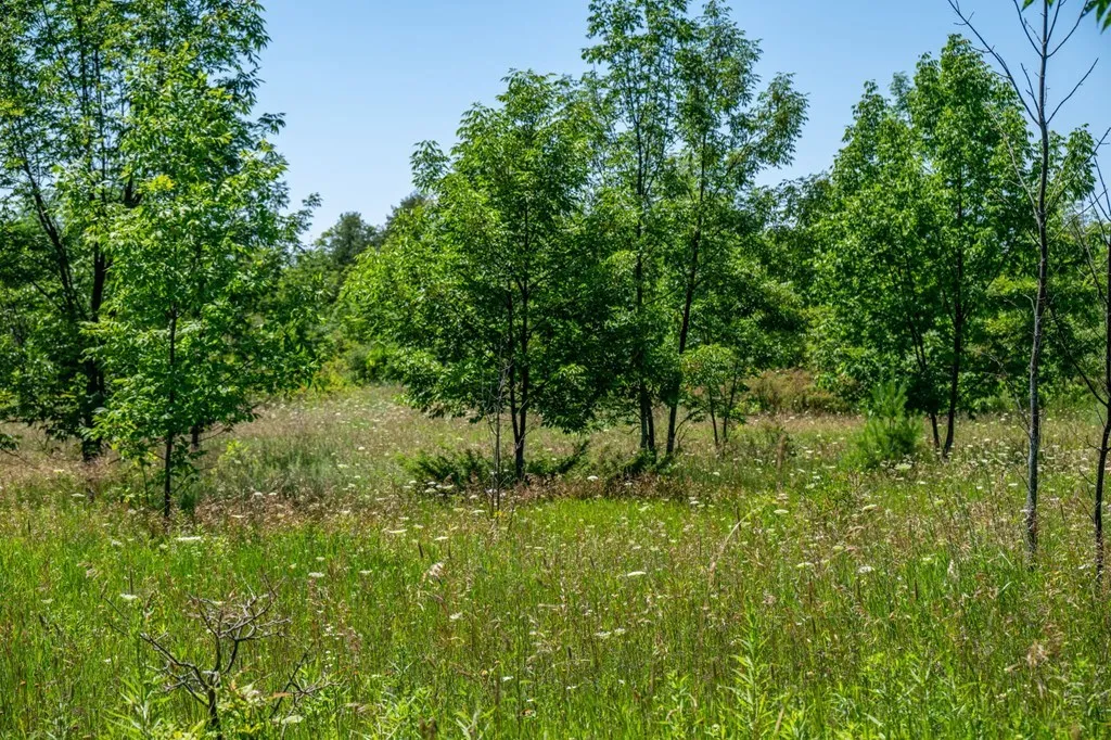 Lot Beach Rd, Sister Bay, Wisconsin 54234, ,Unimproved Land,For Sale,Beach Rd,144472